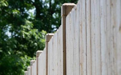 What Timber Fencing is Right for Your Property?