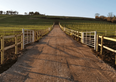Equine Paddocks supplied and installed by Wyatt Fencing