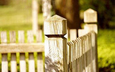 When should I replace my garden fence?