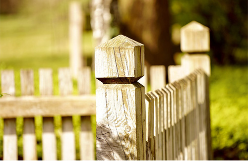 When should I replace my garden fence?