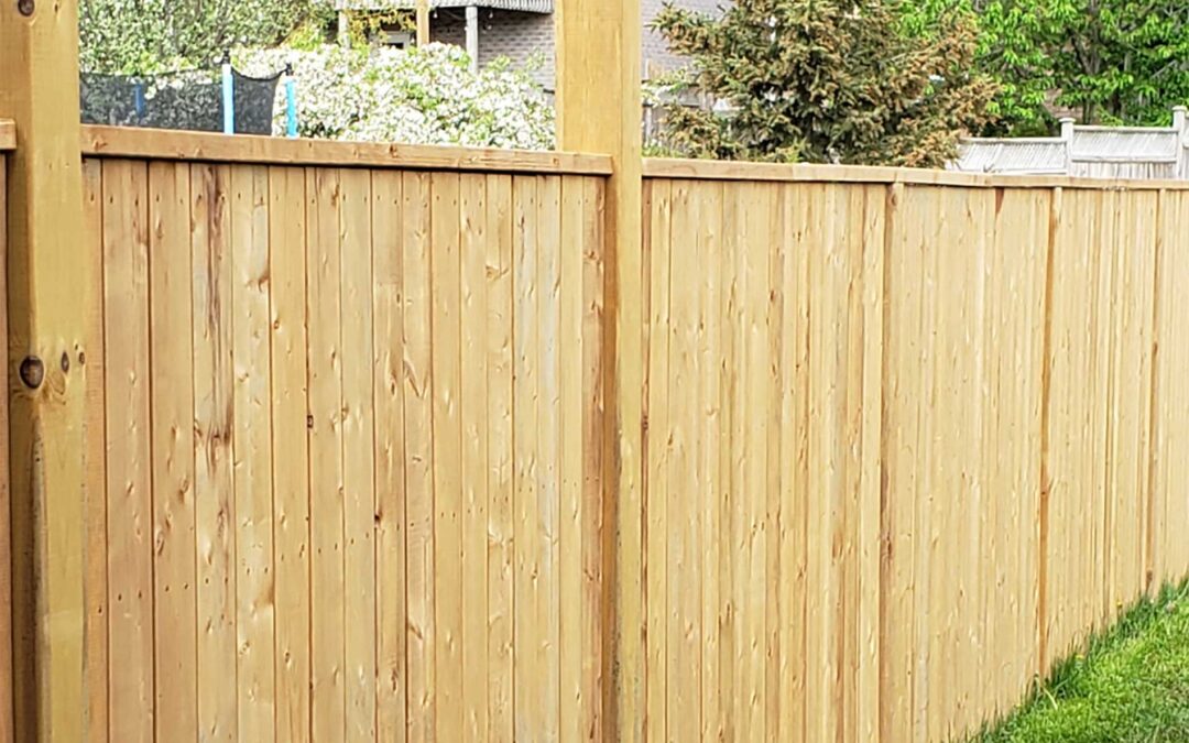 Keep Your Fence Looking Fresh