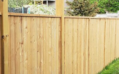 Keep Your Fence Looking Fresh